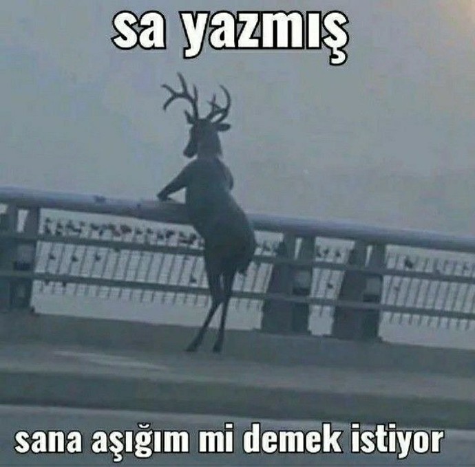 İlişki durumunuzu tahmin edeyim mi?