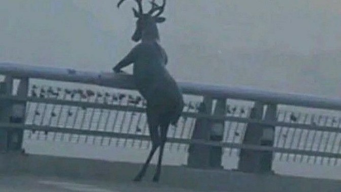 İlişki durumunuzu tahmin edeyim mi?