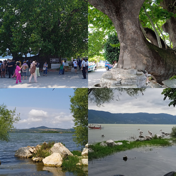 Gölyazı