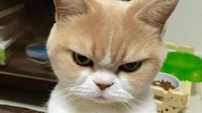Aradığınız herhangi bir şeyi bulamadığınız sinirlenir misiniz?