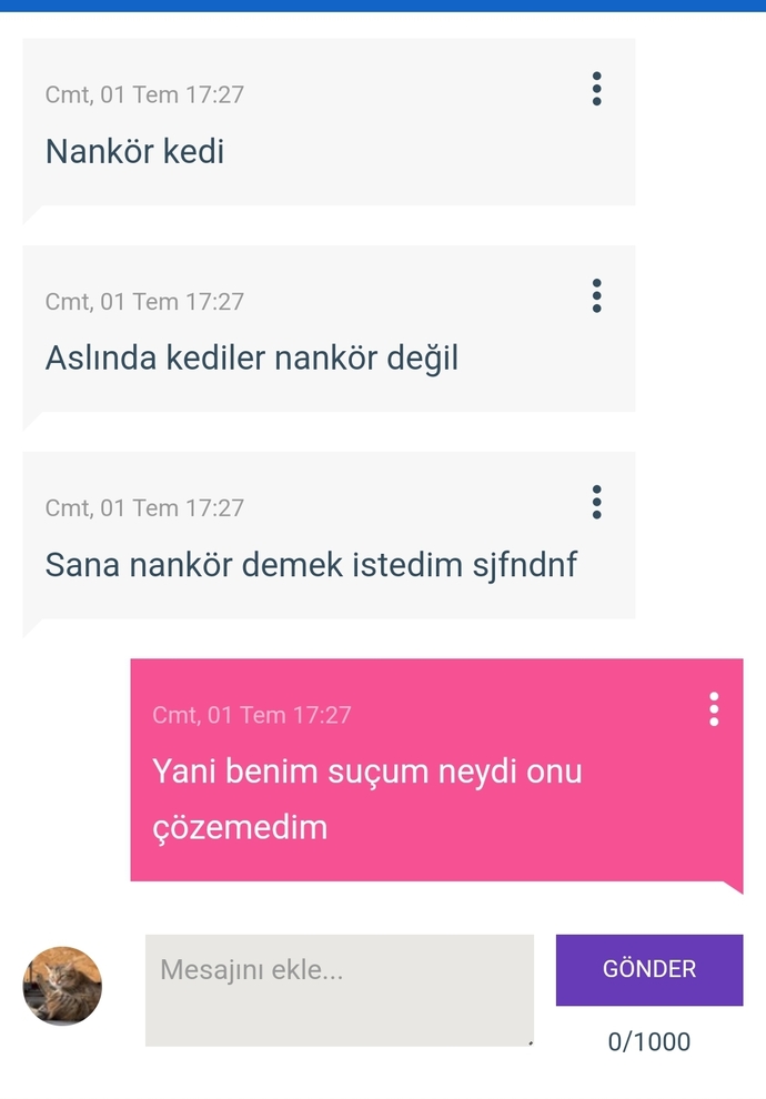 Sence kediler mi nankördür yoksa erkekler mi?