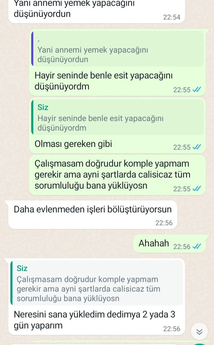 İkimiz de veteriner hekimiz. Evlenince ev işleri sende diyor, eşit olması gerekmez mi?