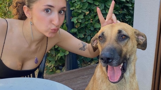 Köpeğim ve ben nasılız?