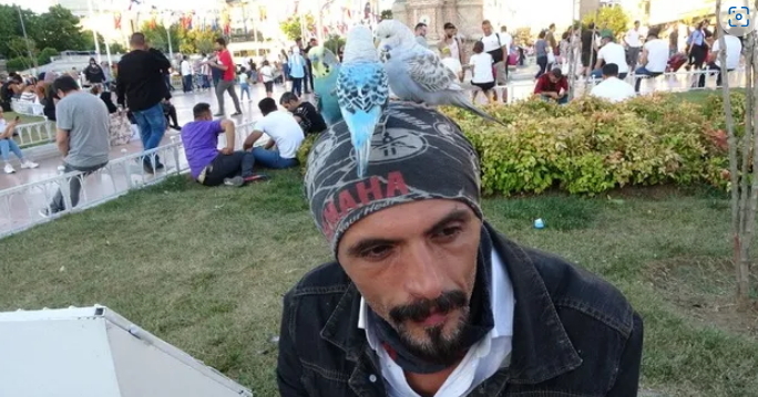 Tüm İstanbulu başındaki kuşlarla geziyor! Sizce başındaki kuşlar neden uçup gitmiyorlar?
