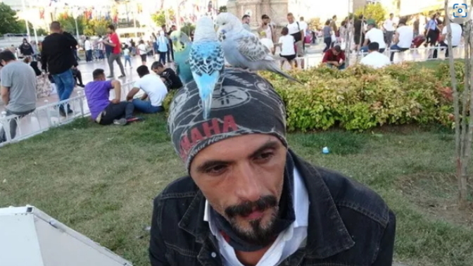 Tüm İstanbul'u başındaki kuşlarla geziyor! Sizce başındaki kuşlar neden uçup gitmiyorlar?