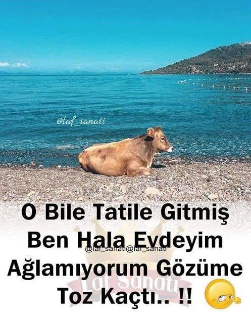 Tatile gitmek isteseniz neresi olurdu?