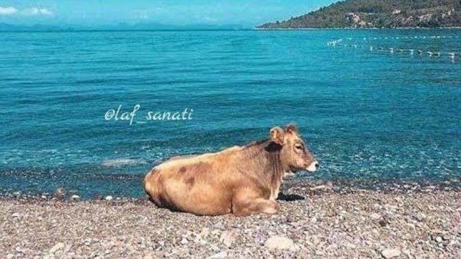 Tatile gitmek isteseniz neresi olurdu?