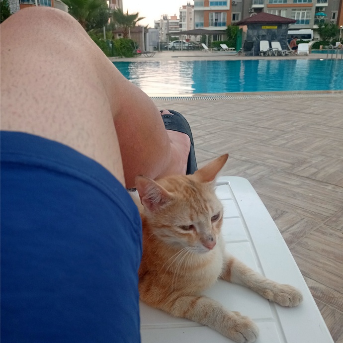 Yalnız tatil yapılır mı?