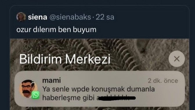 Mesajlaşma esnasında sizi en çok ne sinir eder?