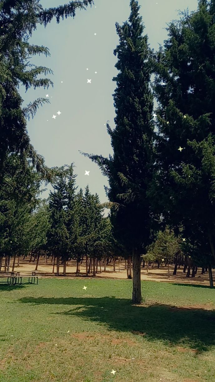Bu💫