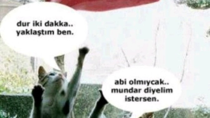 Kedi uzanamadığı ciğere mundar dermiş. Bu söz doğru mu?