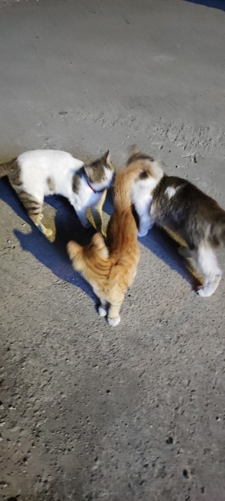 Her özlediğine kavuştun mu?