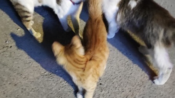 Her özlediğine kavuştun mu?