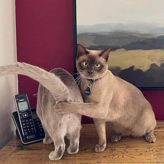 Erkek adam sosyal medya kullanır mı?