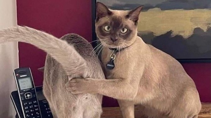 Erkek adam sosyal medya kullanır mı?