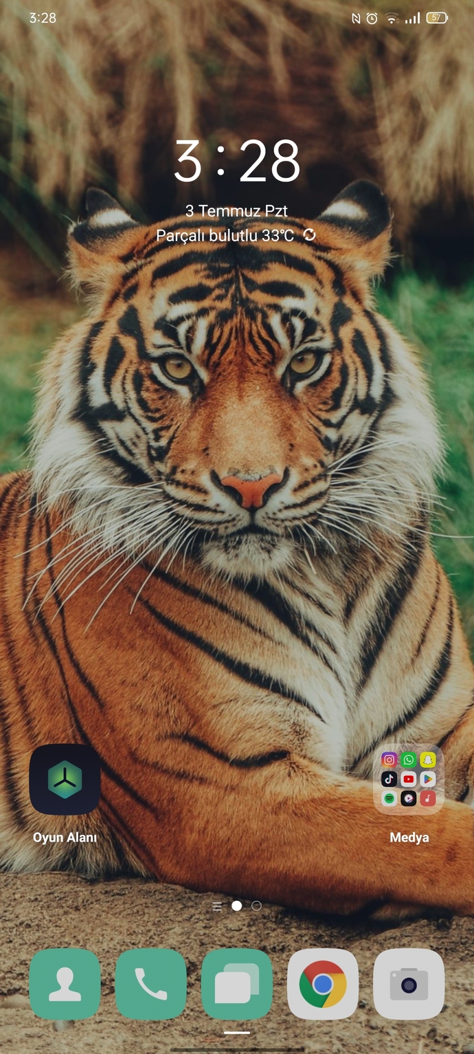 🐅