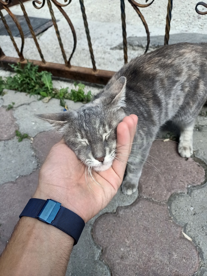 Sizin İçin Mutluluk Nedir / Şu Olunca Mutlu Olurum Dediğiniz Ne Var Mesela?