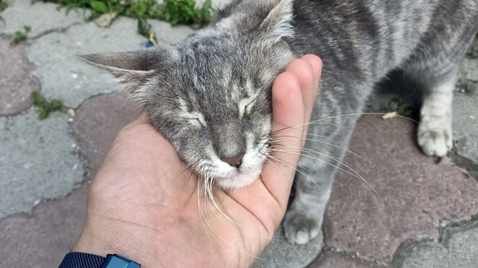 Sizin İçin Mutluluk Nedir / Şu Olunca Mutlu Olurum Dediğiniz Ne Var Mesela?