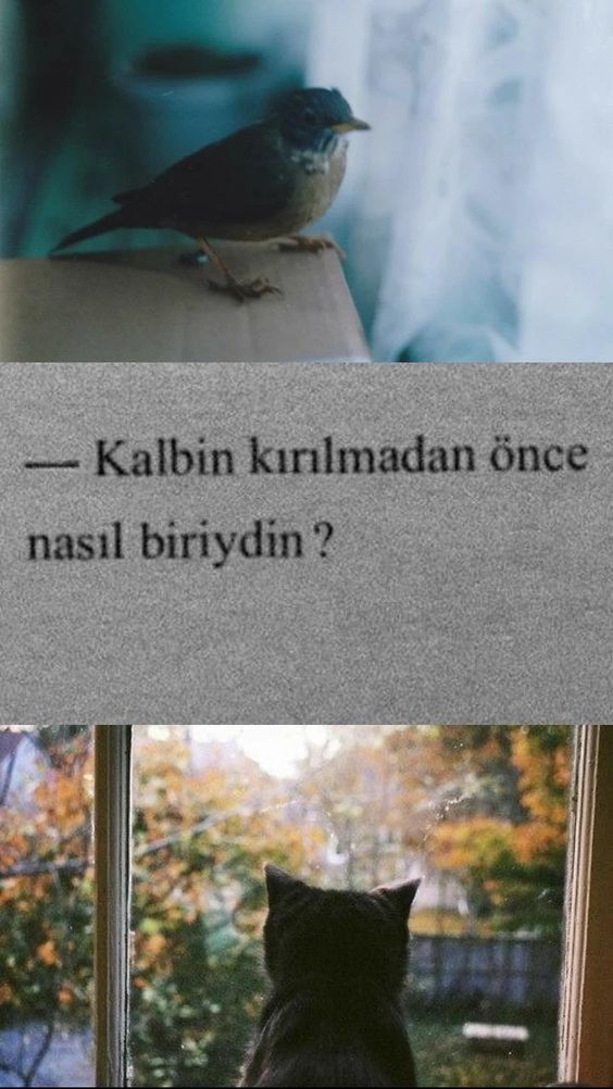 ..