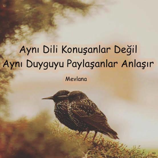 İsteğinle anlaşabilirsin sıkıntı yok. Mesele anlaşmanın şartları.