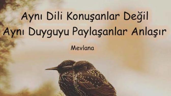 Aynı dili konuşmak mı, aynı duyguyu paylaşmak mı? Seninle anlaşmanın yolu ne?
