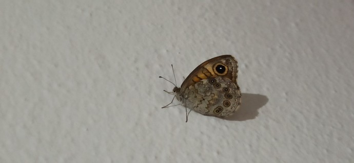 Sizce bir anlamı varmıdır?