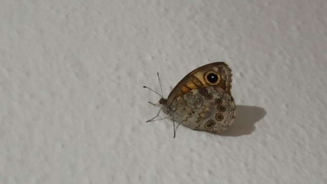 Sizce bir anlamı varmıdır?