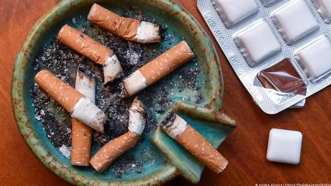 Sigara bağımlılığı mı sakız bağımlılığı mı daha zor?