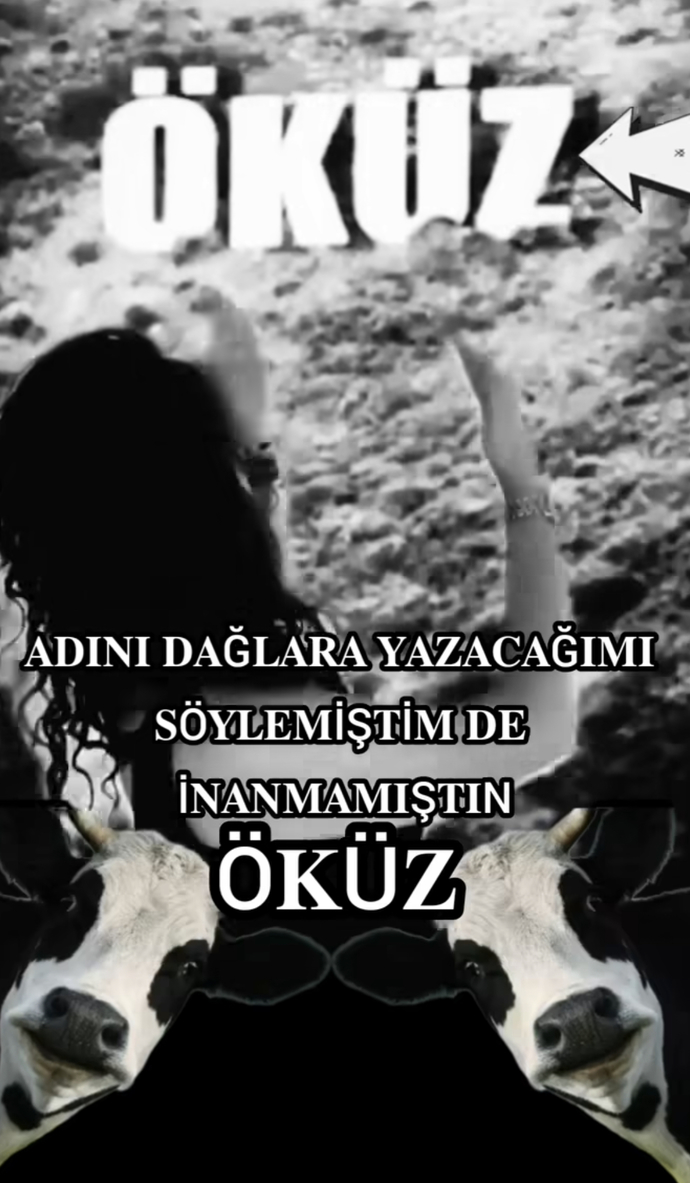😂😂😂 koptum