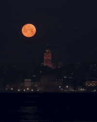 Mehtap, boğaz ve galata kulesi...