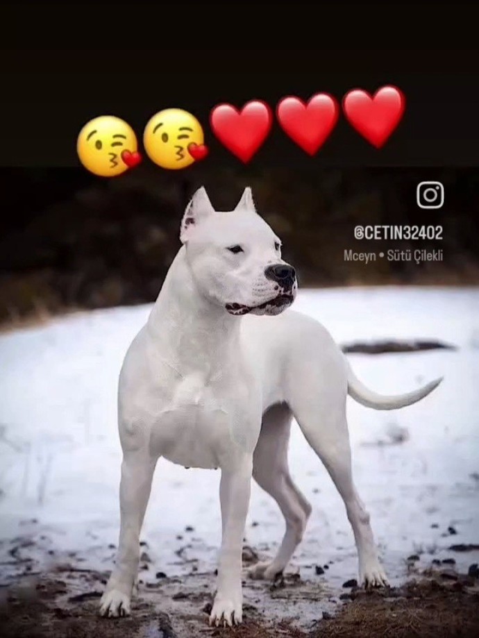 Galerinizden bir görsel paylaşır mısınız?