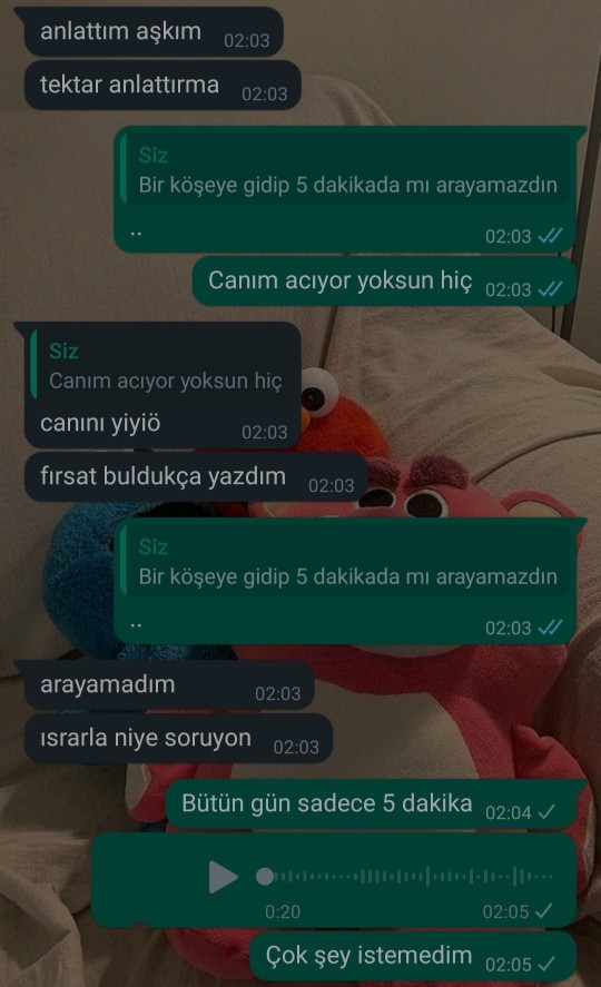 Erkek arkadaşım bütün gün kuzenleriyle gezdi, beni hiç aramadı. Seven insan beş dakika bile olsa arayıp sesini duymaz mı?