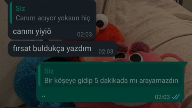 Erkek arkadaşım bütün gün kuzenleriyle gezdi, beni hiç aramadı. Seven insan beş dakika bile olsa arayıp sesini duymaz mı?