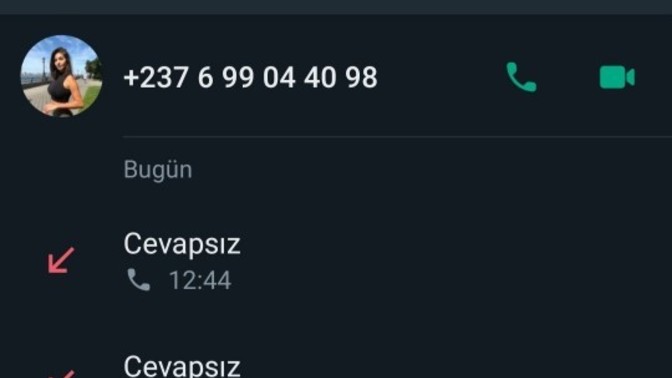 Neden arıyorlar?