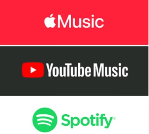 Hangi müzik platformunu kullanıyorsunuz?