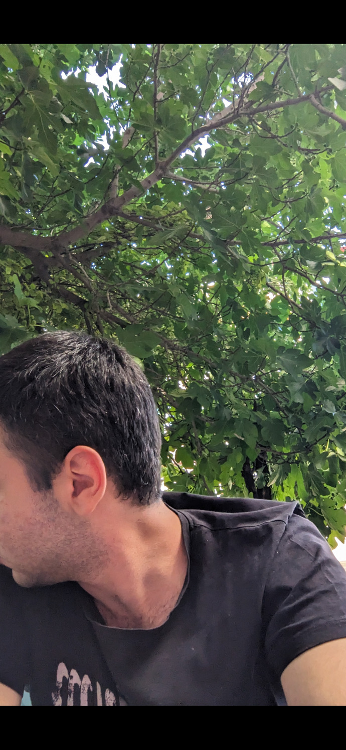 Ten rengim buğday mı?