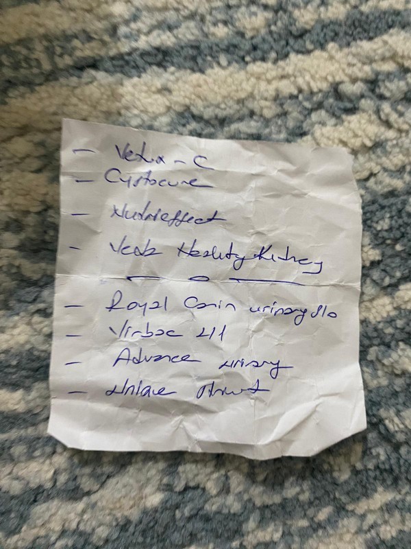 Kedimde idrar yolu enfeksiyonu oldu, bu ilaçlar yeterli mi?