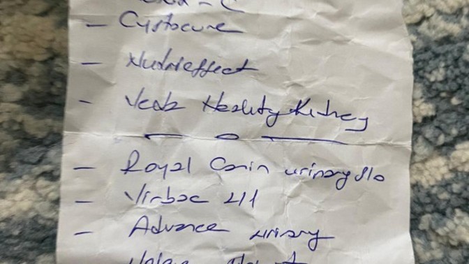 Kedimde idrar yolu enfeksiyonu oldu, bu ilaçlar yeterli mi?