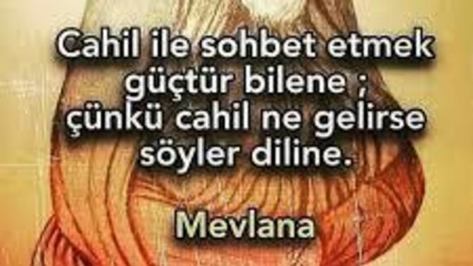 Sorgulmayan müslümanlar hakkında ne düşünüyorsunuz?