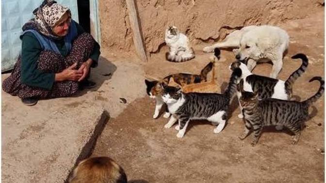 Sizce kadınlar mı daha merhametli, erkekler mi?