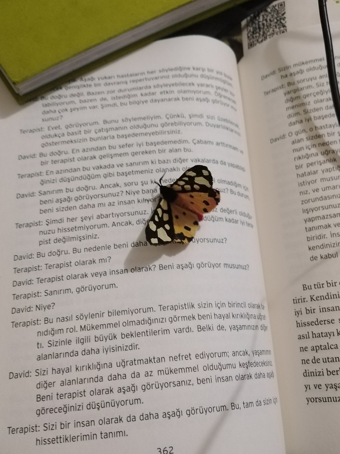 Her şey bir şeyleri etkiler..