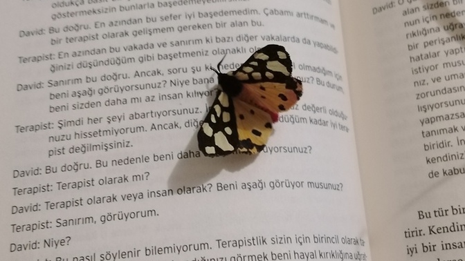 "Tesadüf" kelimesini hayatta çok kullananlardan mısınız?