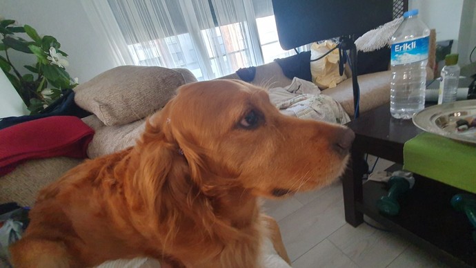 Anlık olarak ne yapiyorsunuzzz?