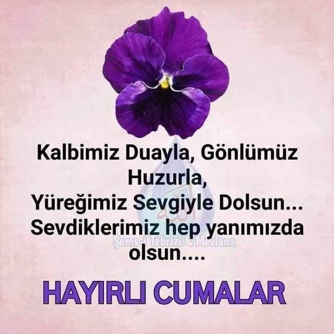 Facebooktan geliyorum..