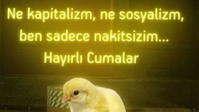 Sevdiğin bir yazıyı paylaşır mısın?