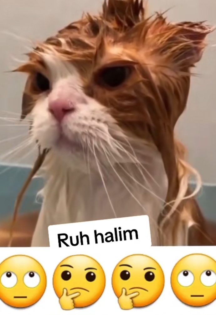 Aynı ben sjs 🤭