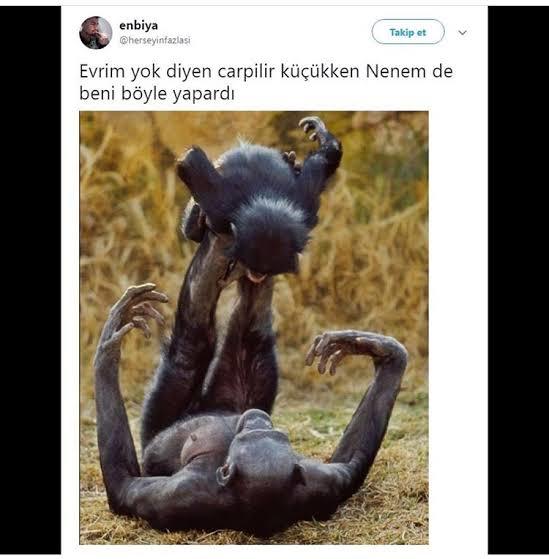 Evrimin var olduğunu düşünüyor musunuz?