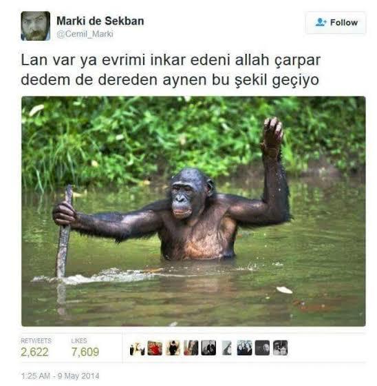 Evrimin var olduğunu düşünüyor musunuz?