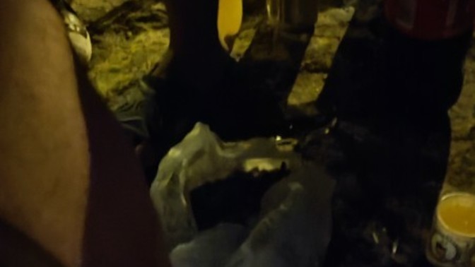 Sahilde çekirdek kola yapmayı sever misin?