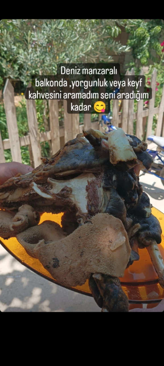 Yemeyen ne bilsin tadını 😋?